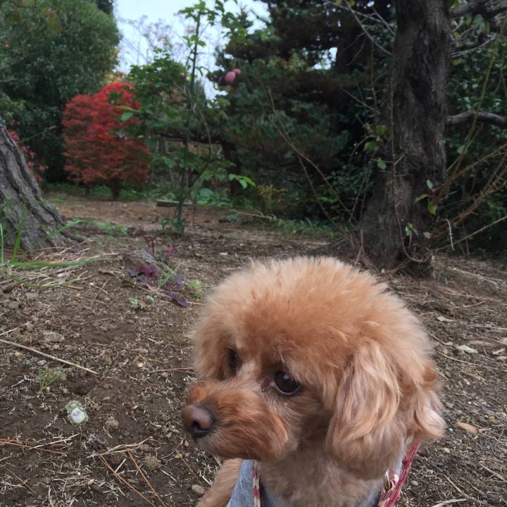 50a3a0b3 51fd 43a2 9e1b 864ceb91916c