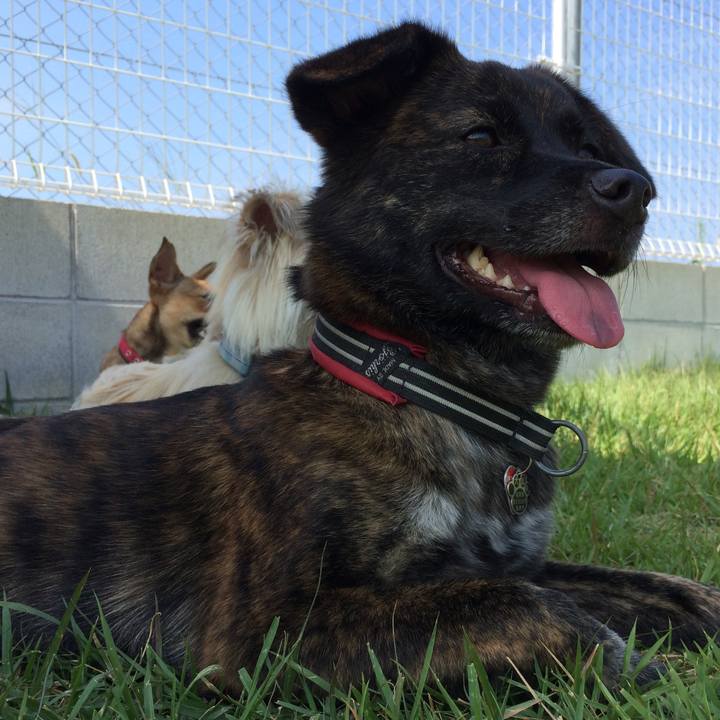 50a3cebd 9ee9 4184 882b 4d6735110701