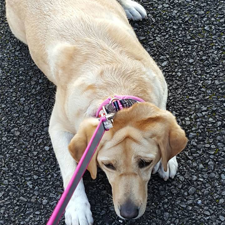 50a412df 3fe5 4e6d be80 dada72cae080