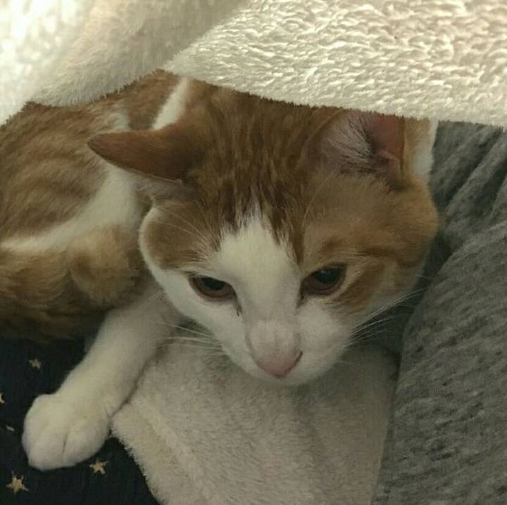 50a4a13f 207b 4231 b49c 54327d95e829