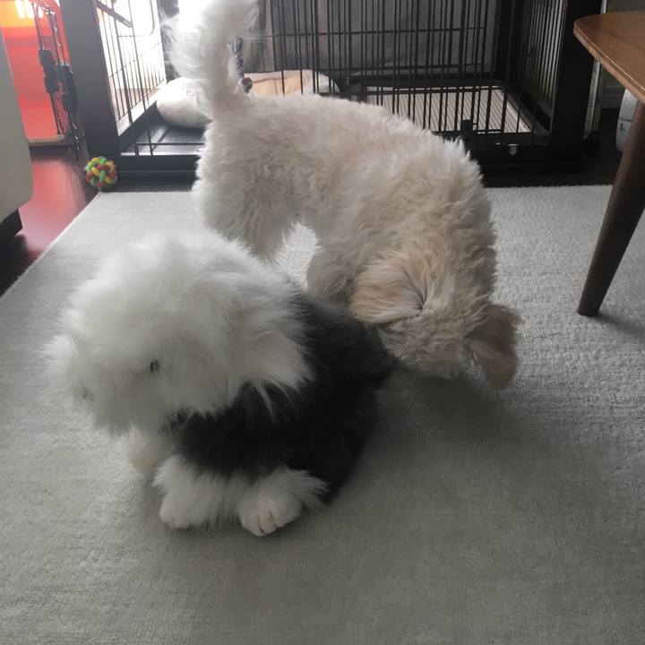 50a4a427 1638 4c56 a6ab b6dbce5fa65c