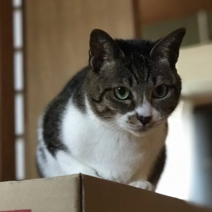 50a4b9ed 68b2 468d b023 3f737f1a80d7