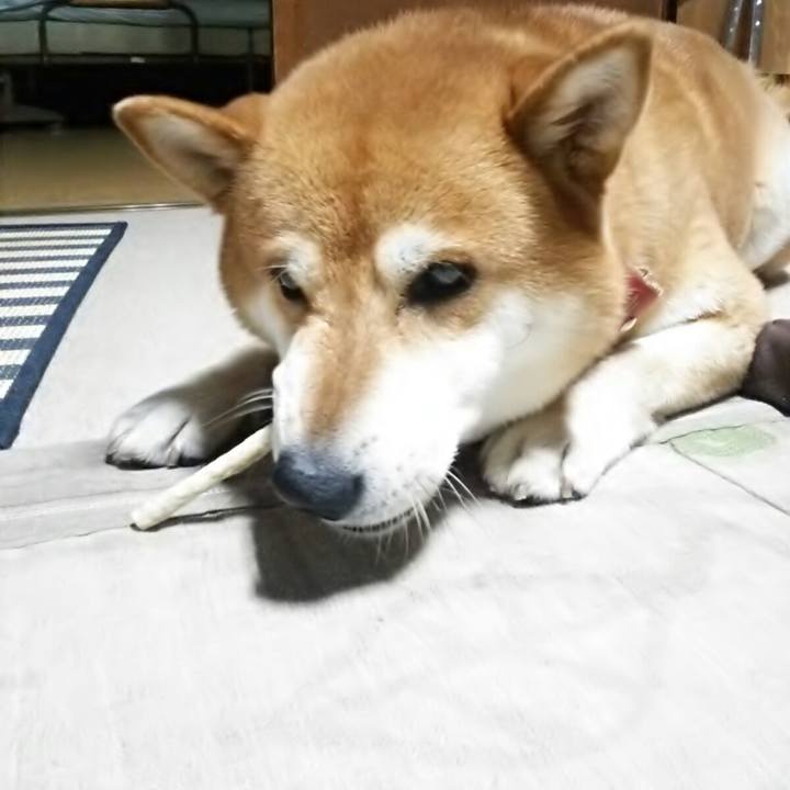 50a4e85b 6203 4144 a19a 724823d0f832