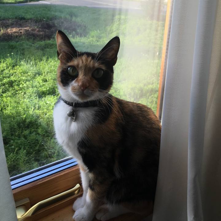 50a4f66a 29f9 45b0 be1b 4d999cf4a3d4