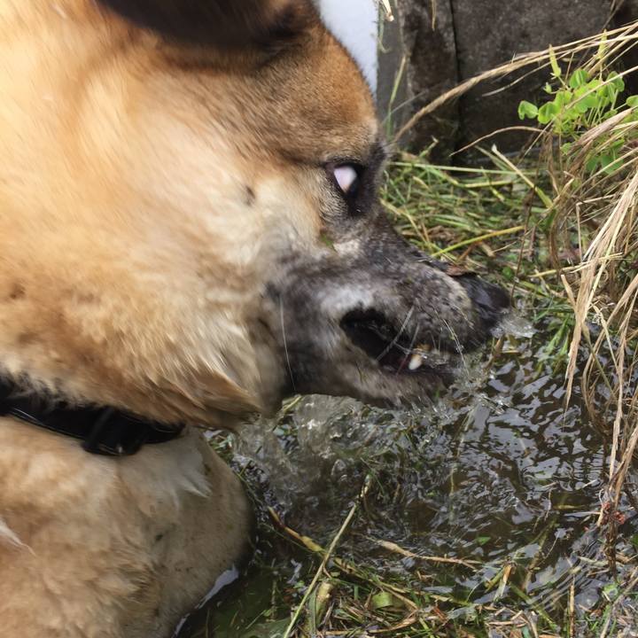 50a5a55d 5bab 4348 9496 059f8ce1ba86