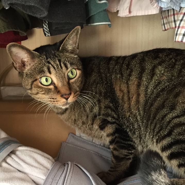 50a65c0e 5fb2 4501 b578 a656ffd08b25