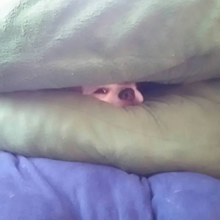 50a6c5cb 0a2c 462a 865b 088112364d42