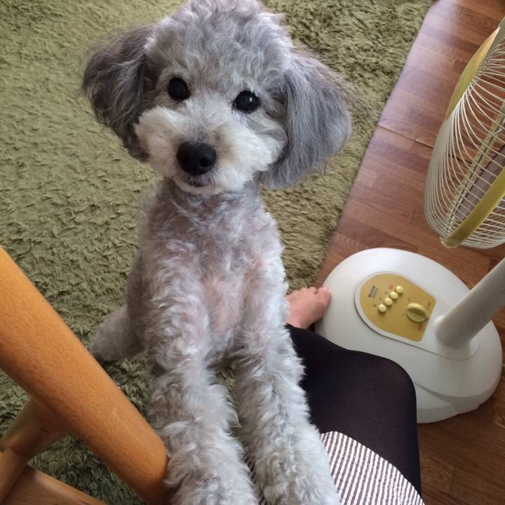 50a6dad7 e1ac 4027 b263 04ea7564ab9d