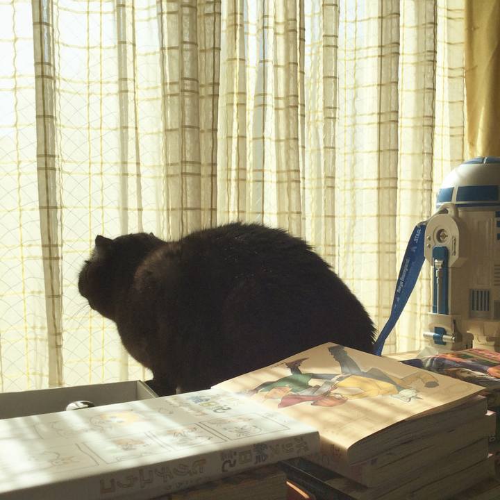 50a6dc84 39ee 4c78 bc59 d8c8255b4730