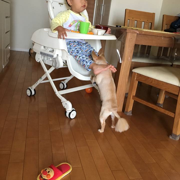 50a6e4c9 e57f 4314 ad6e 10a625edfa20