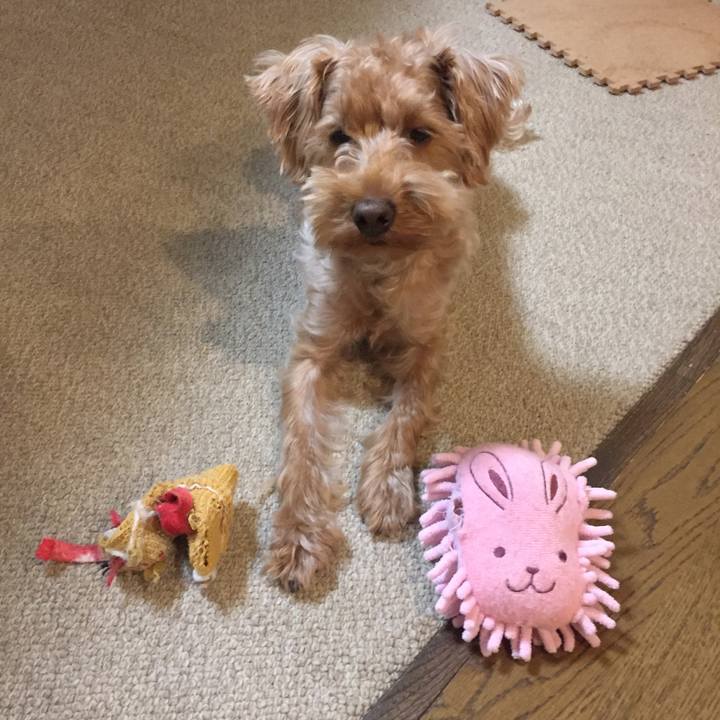 50a7117b 0ac3 4805 8b97 e48c38ea7a60