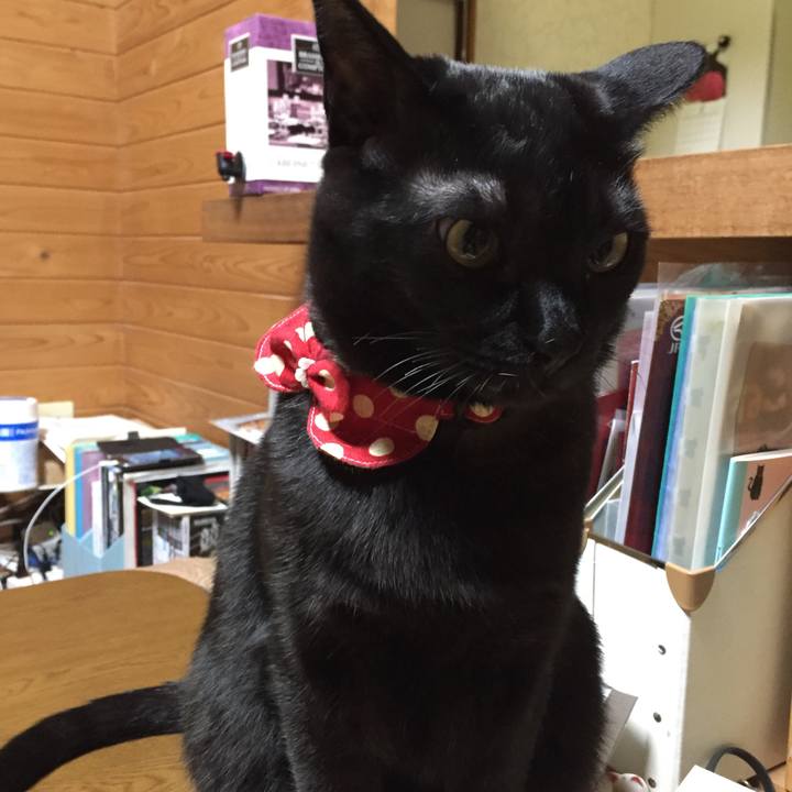 50a8eed6 2507 4cb2 a6b0 e2b600516a61