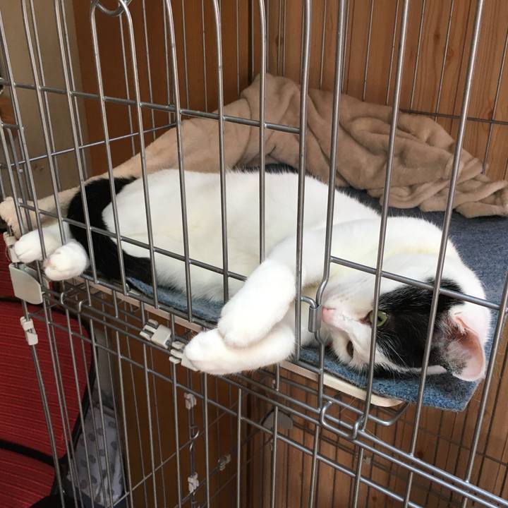 50a947d7 3d3c 4004 b395 2f2be912f1ce