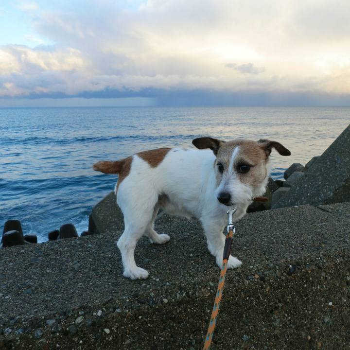 50aa4c23 941e 4fe4 8710 22c0bdf21e31