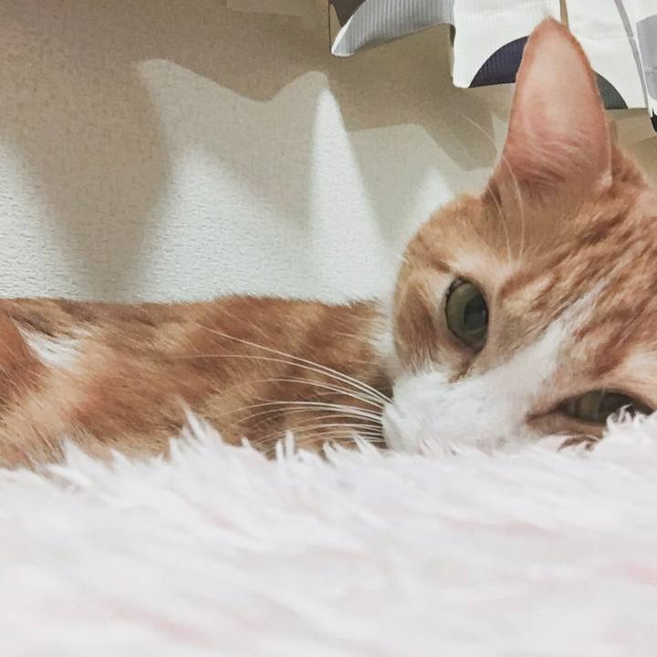 50aab388 9145 4a3a b48f 869dd5cd5d90