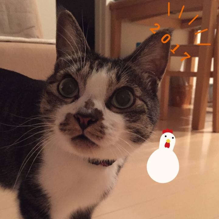 50aadd53 02e0 4bab 8cc1 9c9b1ca1c8d9