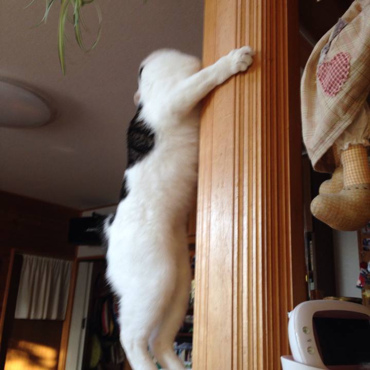 50ac8204 a263 41c5 8e85 83605fe67962