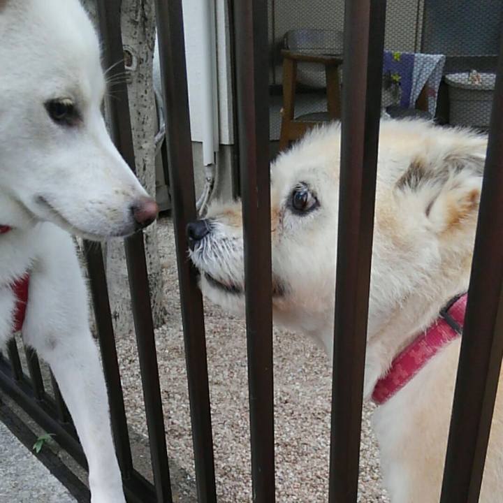 50ac89db d8c3 4a79 a764 3c08ce4bac50