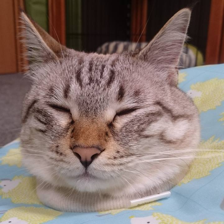 50ad55da 7a22 4b8f ab6b a9fc9cd2759f