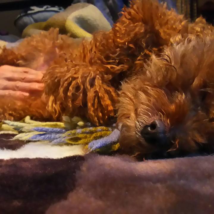 50adfc04 5fc6 4d4b b87c fe497adeb41d