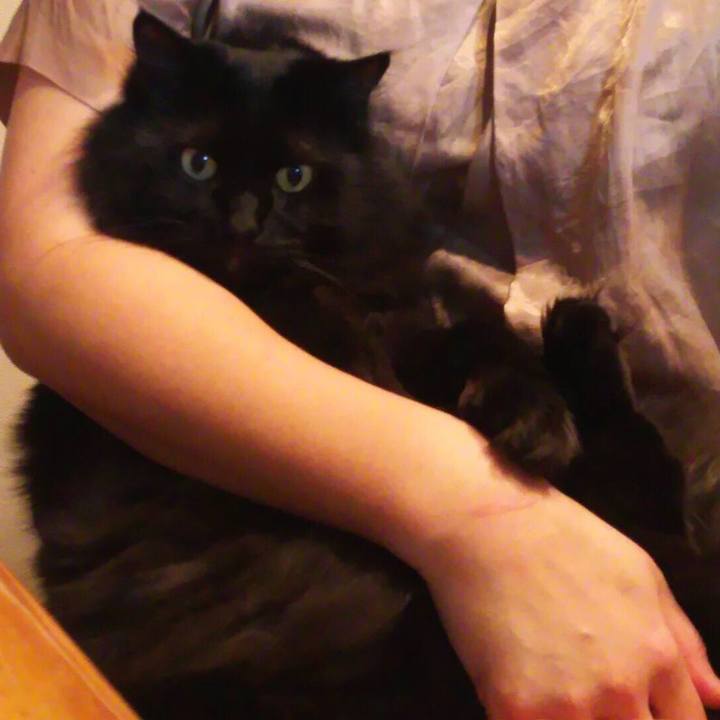 50ae535c e1bf 487f bc1c f7d24d8eb0cc