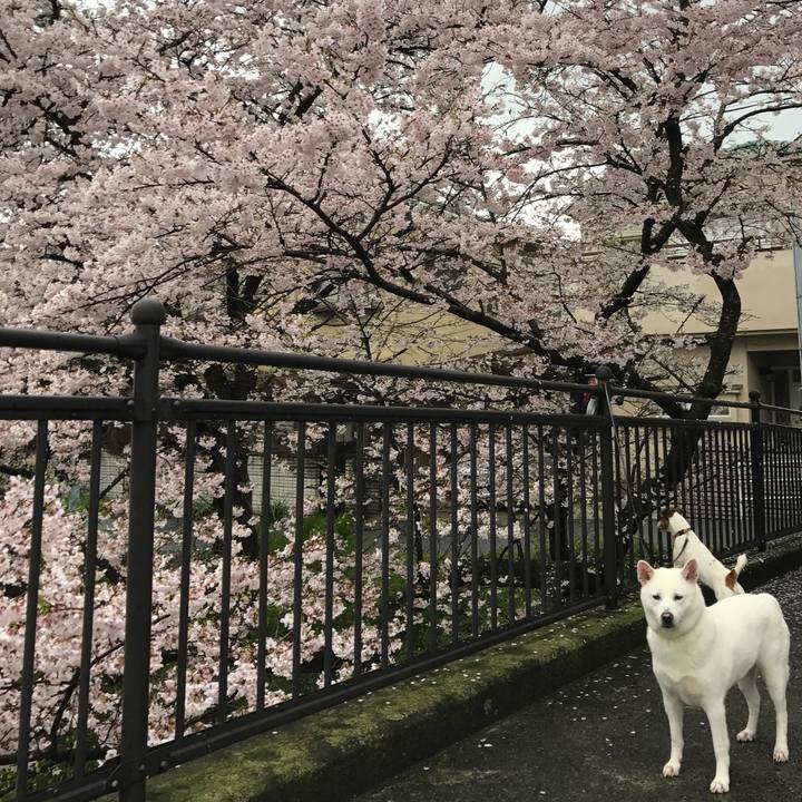 50ae8118 424f 4a6c bae0 c15cb3110617