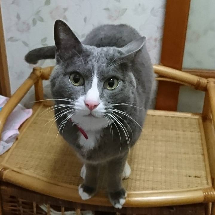 50aea07a 9d84 4eb7 94bd dd82258502ac