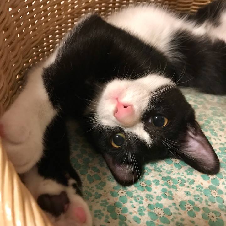 50aee76d f974 45b3 93d6 d99426fd1e85