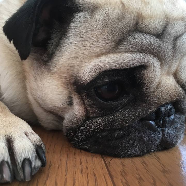 50af99ba 7c06 42f5 9be1 2f4f449ca414