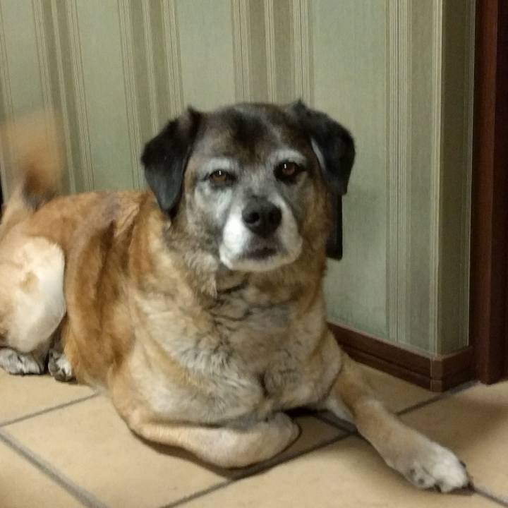 50afb8fc 9fef 4ed9 ad61 80aa06d80cee