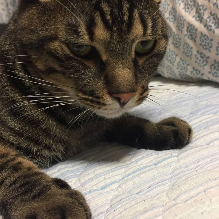 50afe1db 4f7c 4730 aea3 273bf95fae0f