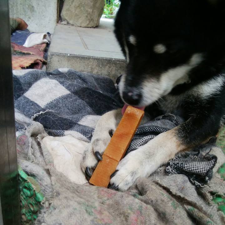 50b0b411 b96e 4c59 9ea9 d7a6934bcd14