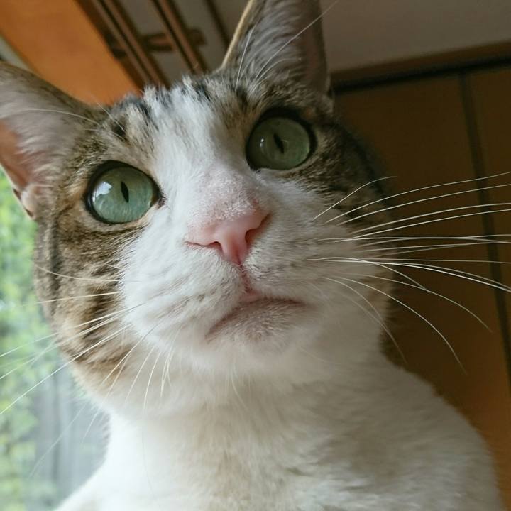 50b0c956 882b 46a7 b50f f890ddafab2a