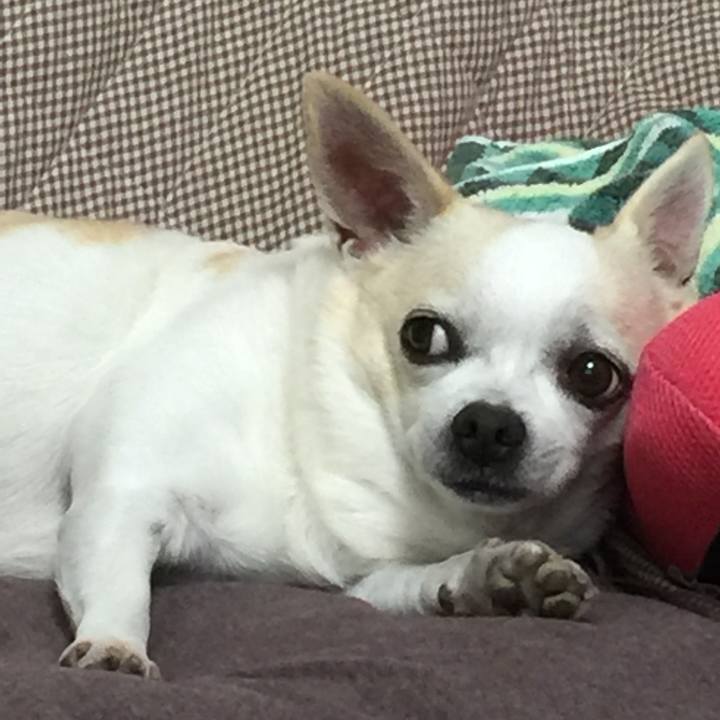 50b226ea 4bc5 4c0d ade7 61c1dc45cdf9