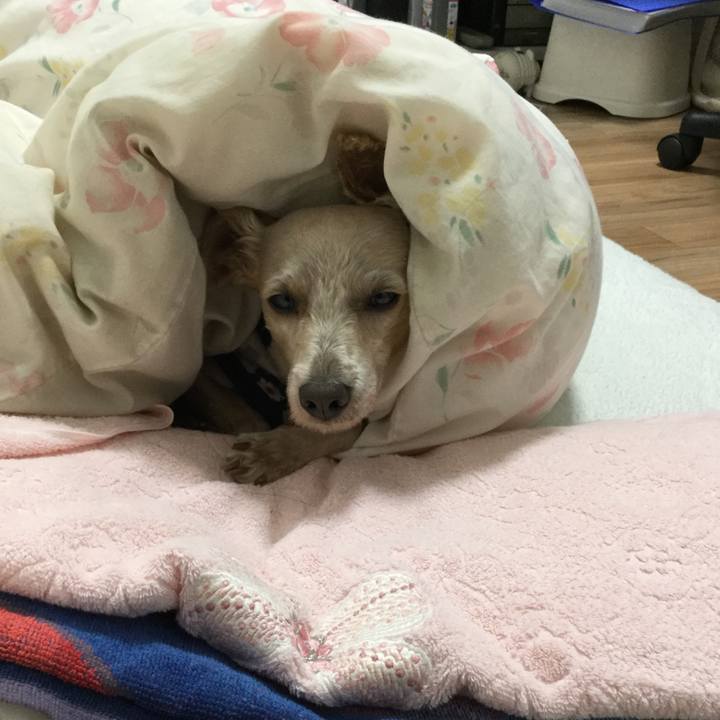 50b2a92e d443 4d8f 84c5 7840c3e5085d