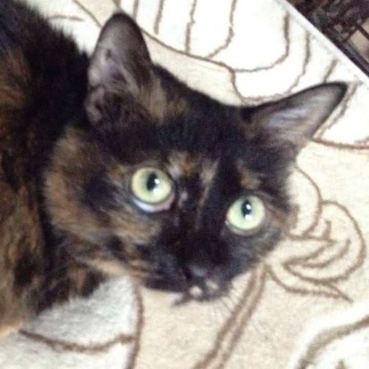 50b3139c 7f45 418e b5eb 216e8358d087