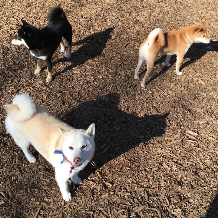 50b3c83c c55a 4e94 b228 16359ace8516