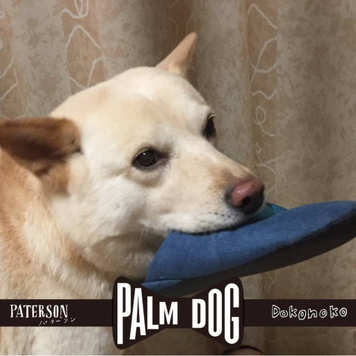 50b5eafd be15 4d50 82ca e2bd90c60414