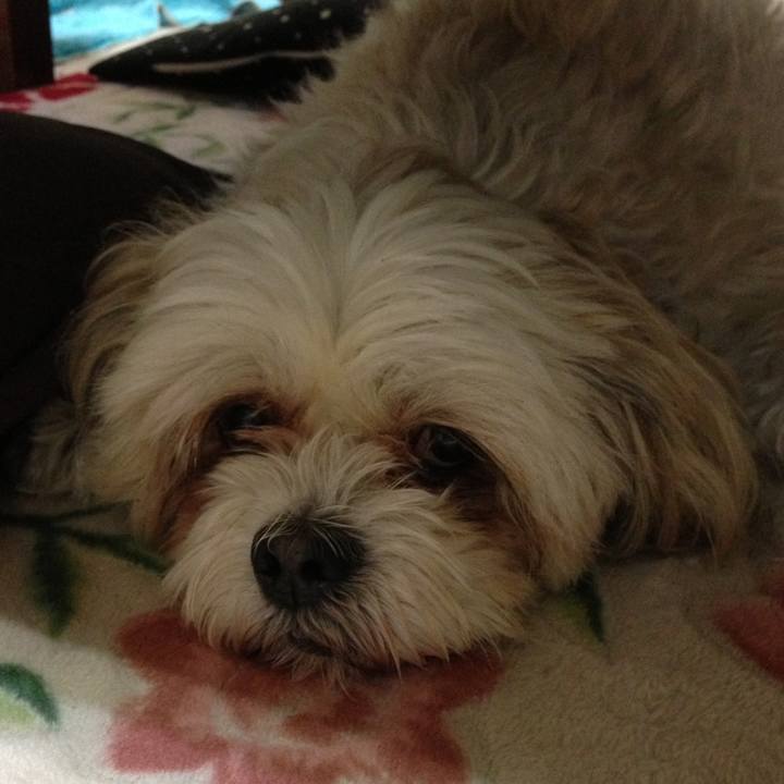 50b61fb8 6fd9 48a3 8045 18d6722e32ba