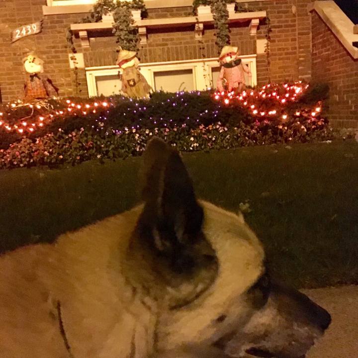 50b63a19 ca05 403f 9802 65c56e1a43e3