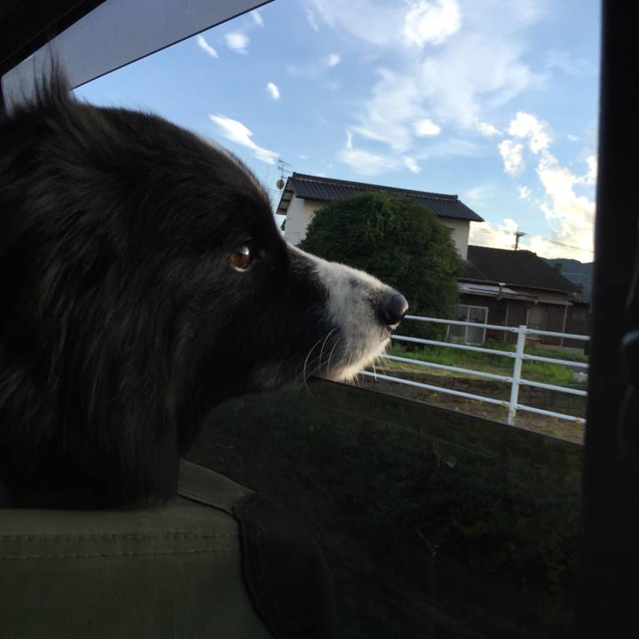 50b6ee66 54d7 49b9 9ec4 8ef15143a2e0