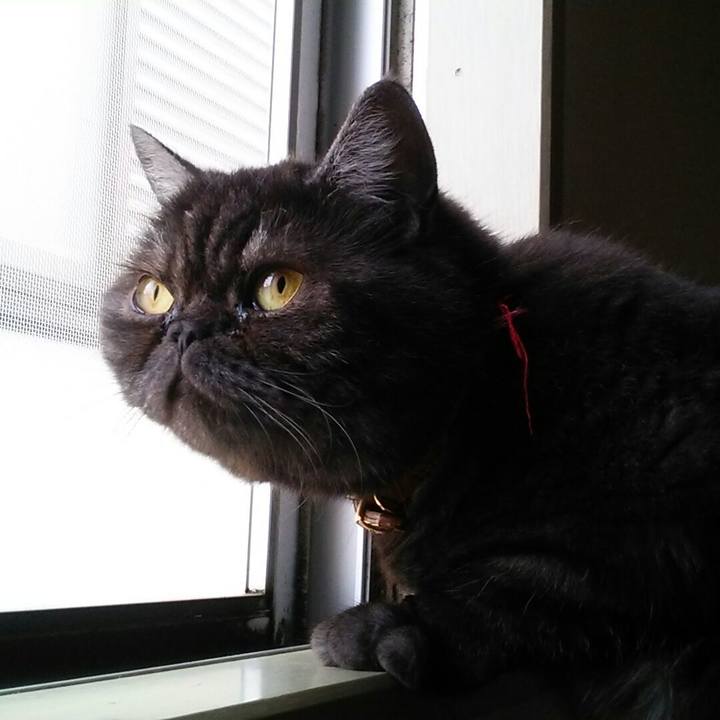 50b6ff21 b1e6 4dad ba92 d837323b10d7