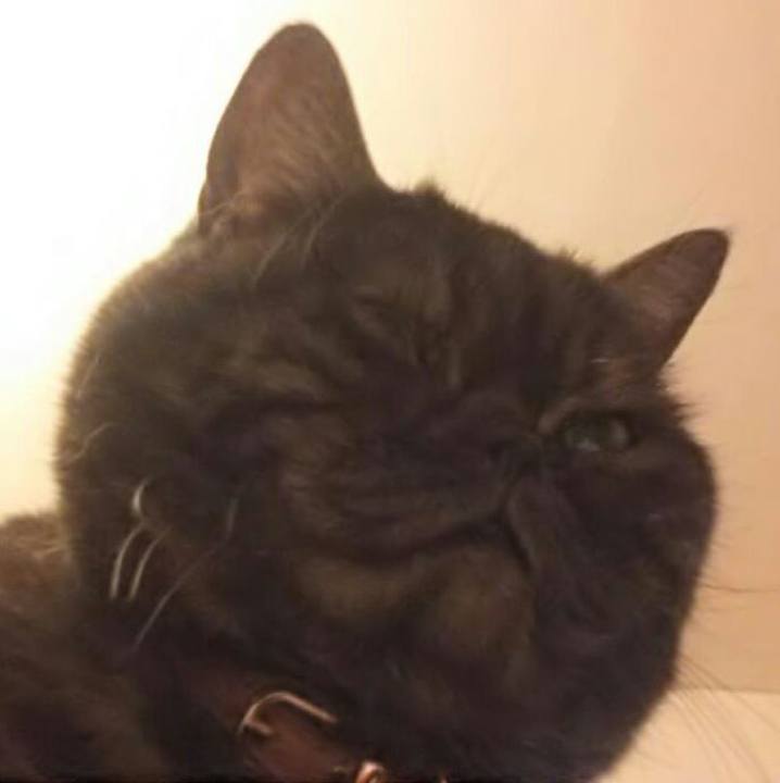 50b7c381 d39b 409c 8689 378576dab8f2