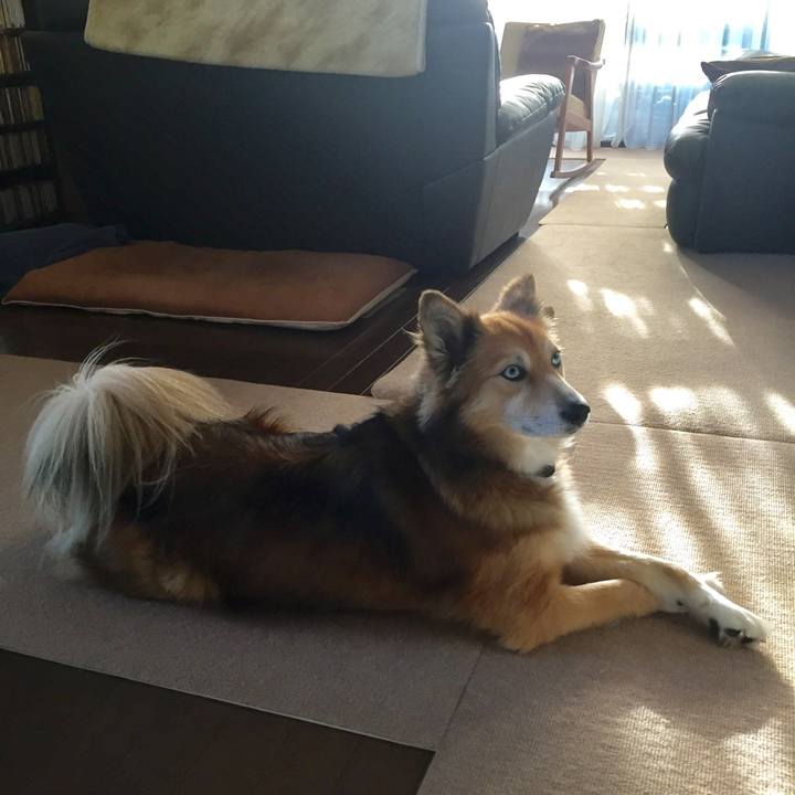 50b874a5 d100 4b0e bed4 17fd2b70c68b