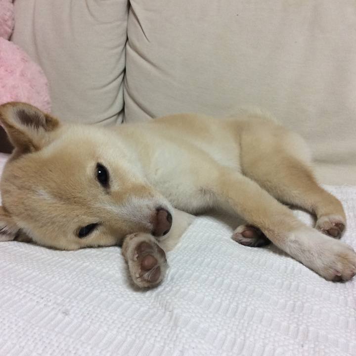 50b906af 2265 44e9 8bcb 30609b31edf7