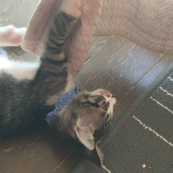 50b97035 1bc0 4ec7 b5e2 bd34c614a3e7