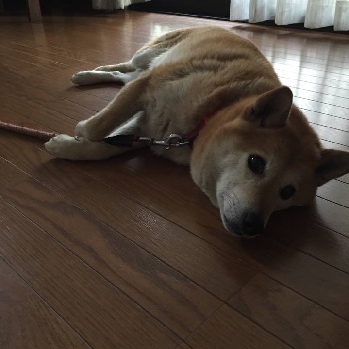 50b97246 fd51 4344 be3f 57d22e36fb6a