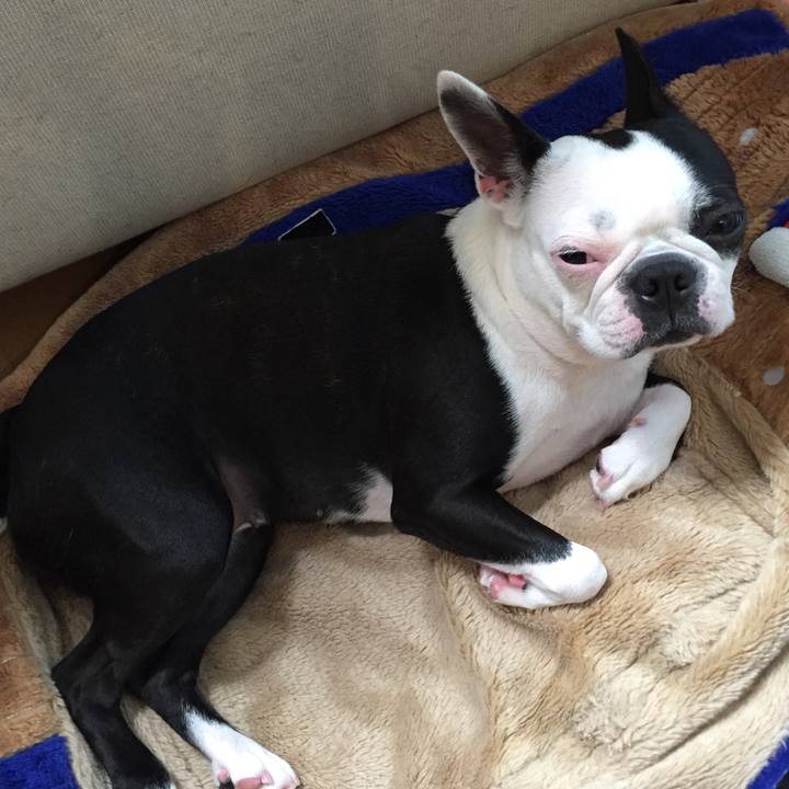 50b9e67c 46ab 43e3 9e7a 283c73edceda