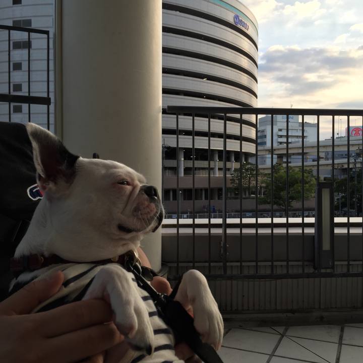 50b9ecad 0c1c 4329 9299 f97185225d96