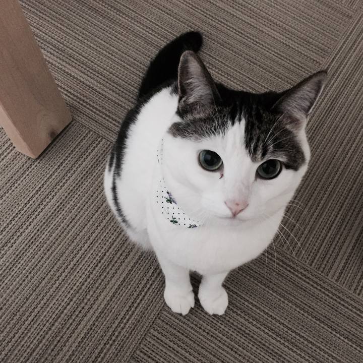 50b9fa7c b6c0 4b58 8cfd b9df53511a48